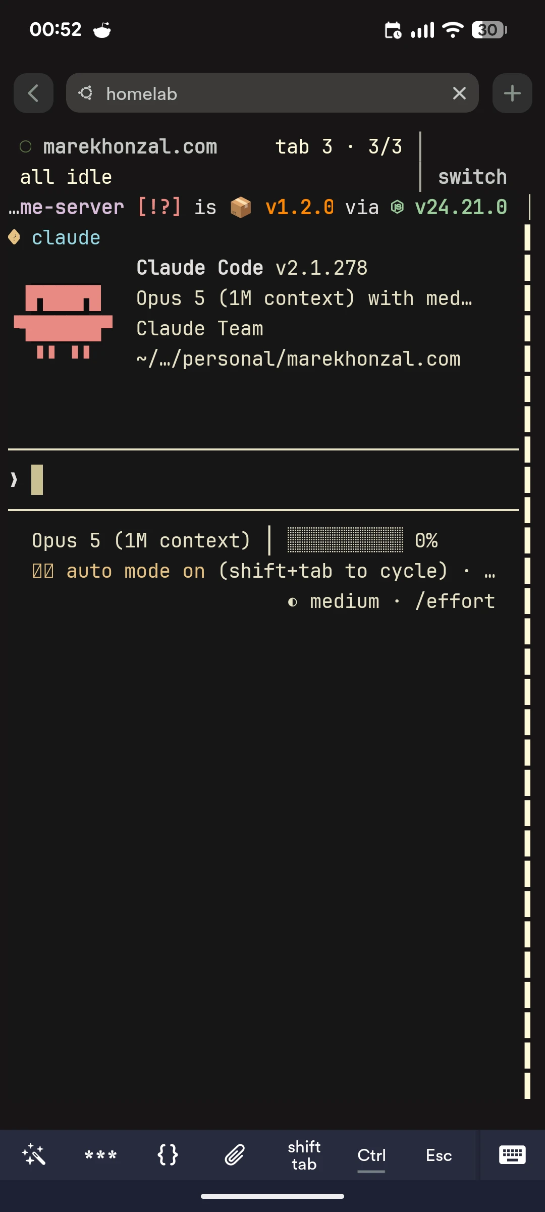 Phone connected through Termius to the same Claude Code session in herdr's compact mobile layout.